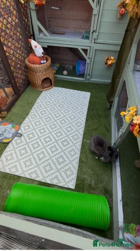 Gallery Image {{count}}