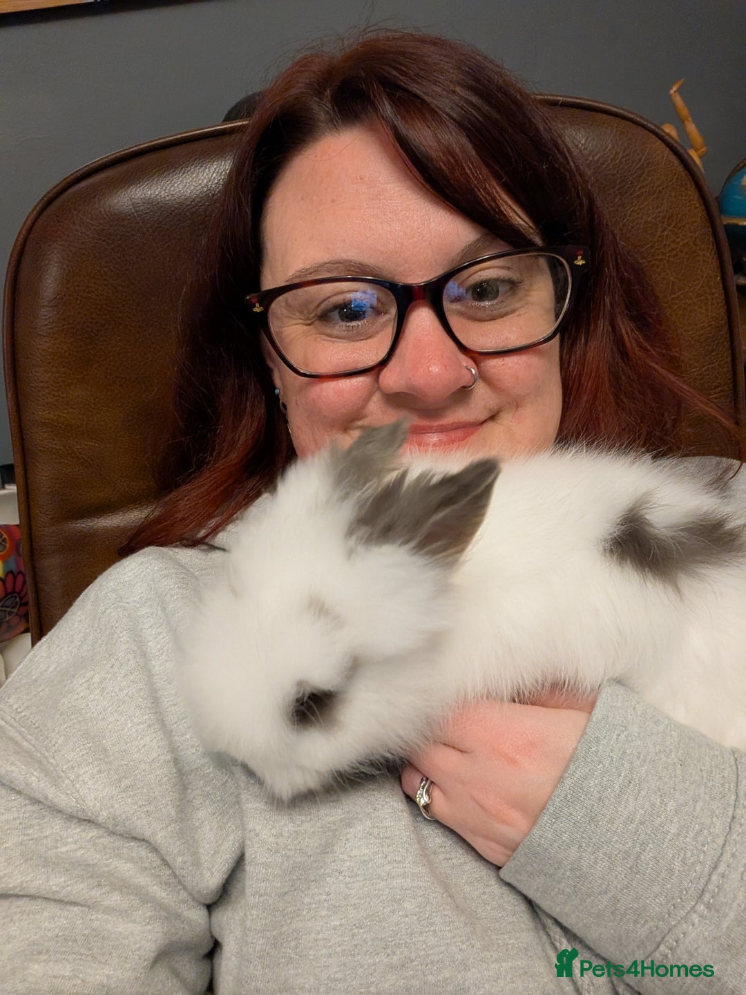 Lionhead rabbits for sale: 3 double mane bunnies - Image 2