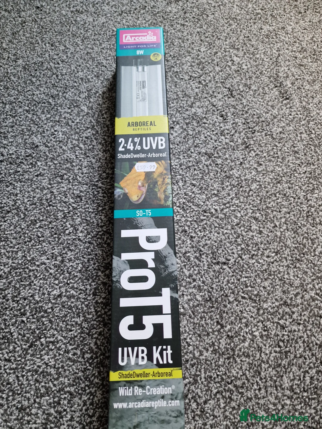 Snake reptiles for sale: 15 month old royal python plus complete set up - Advert 9