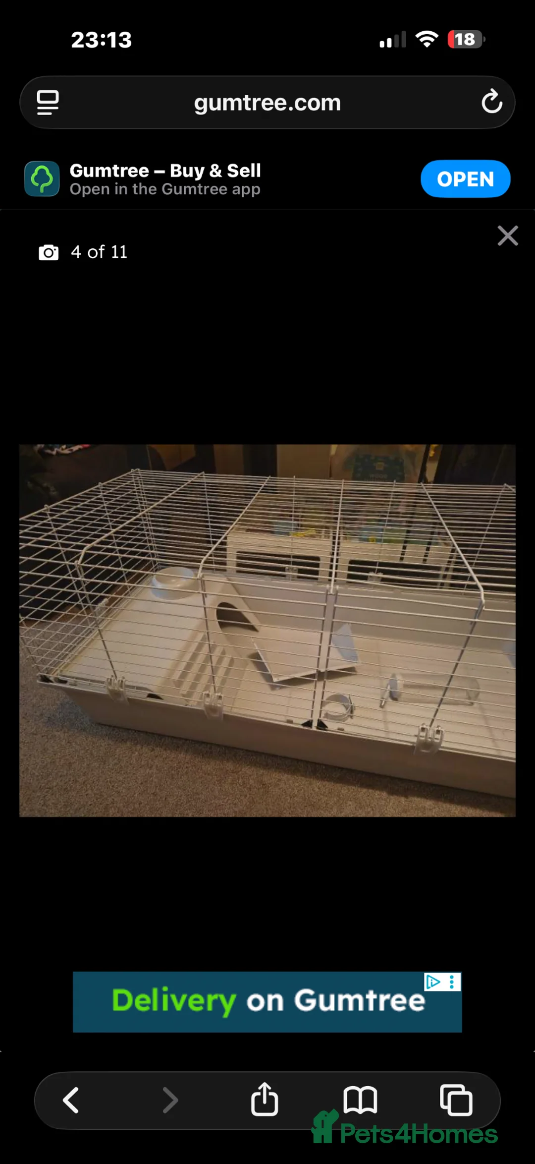 Guinea Pig rodents for sale: Two guinea pigs  - Advert 6