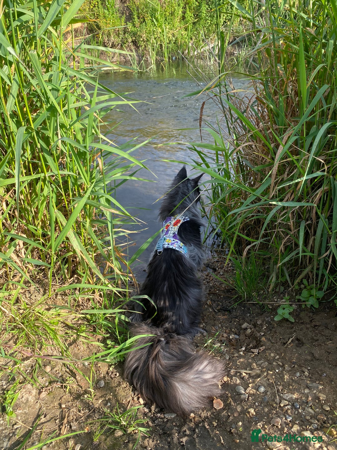 Gallery Image {{count}}