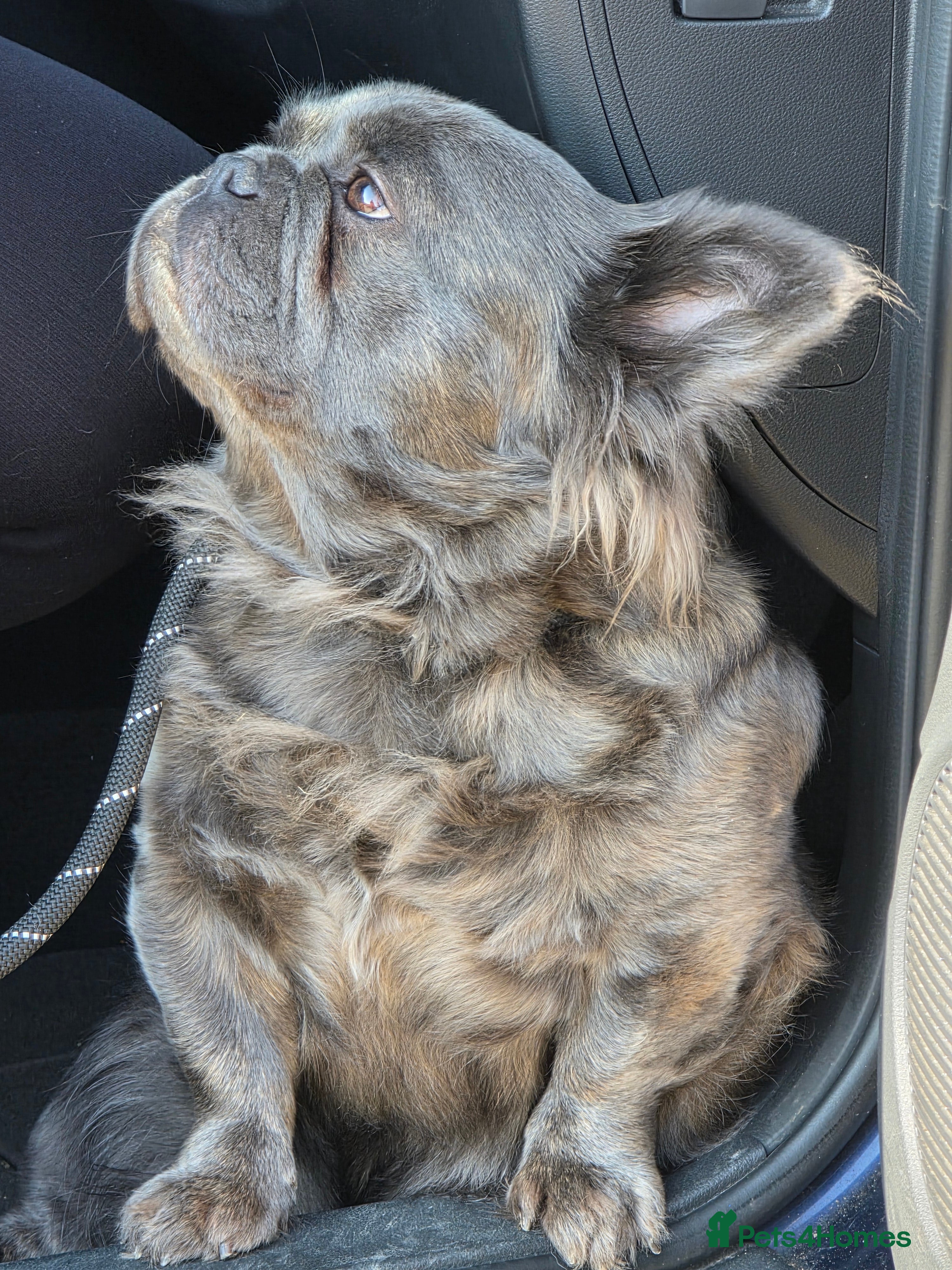 Betsie
