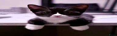 Darwin