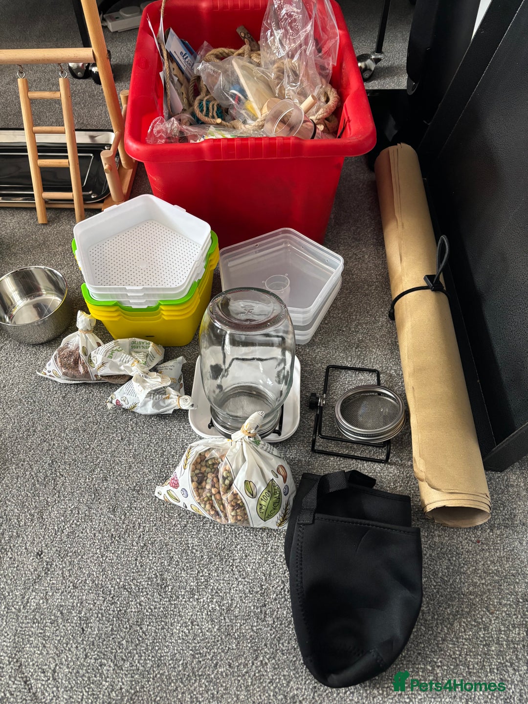 Parrots birds for sale: Large Parrot Cage - Image 5