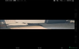 Netherland Dwarf rabbits for sale: 2x female rabbits - Image 6