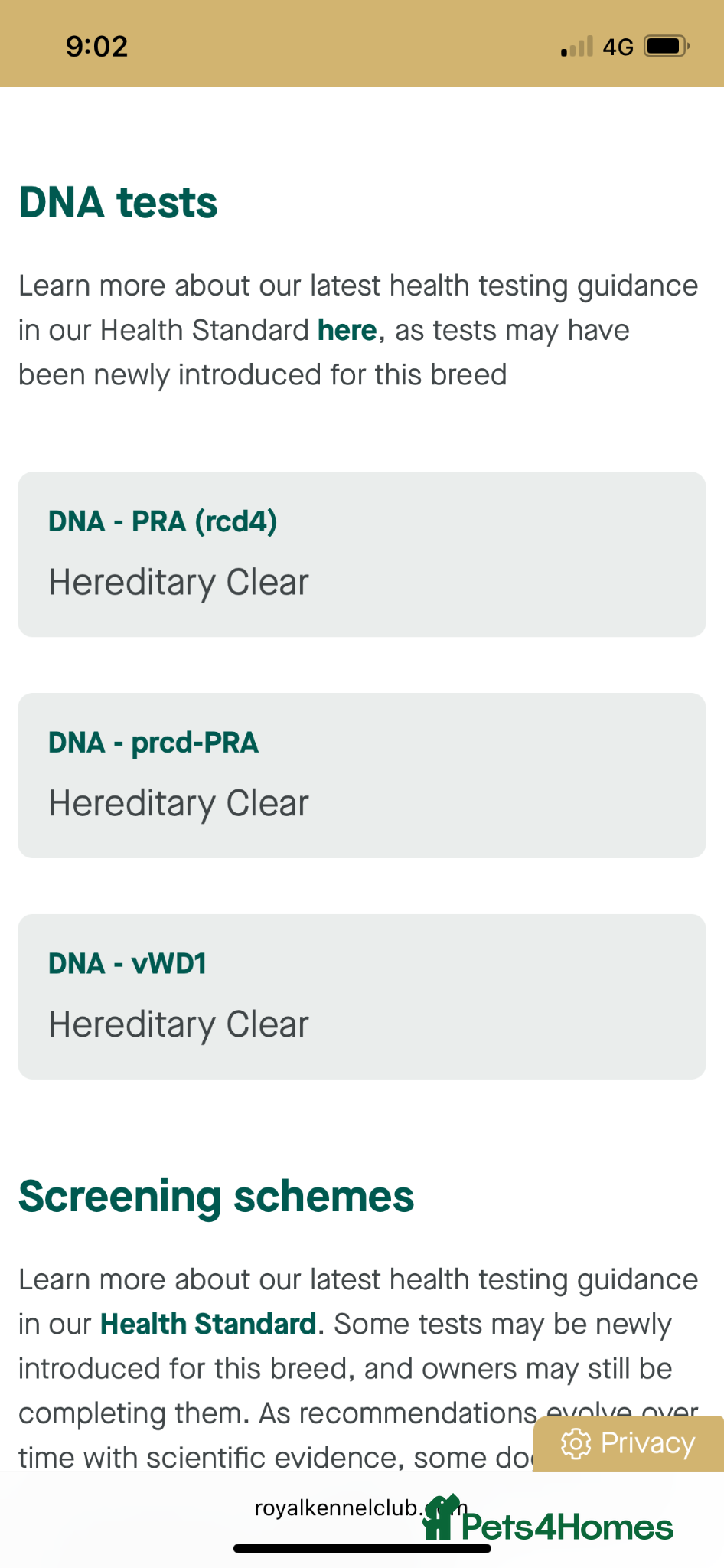 Mixed Breed dogs Poodle x pyreneese  puppies health tested  - Advert 2