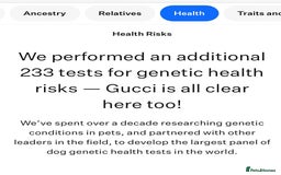 Maltese dogs for stud: ❤️health tested Tiny Korean Maltese boy❤️ - Image 12