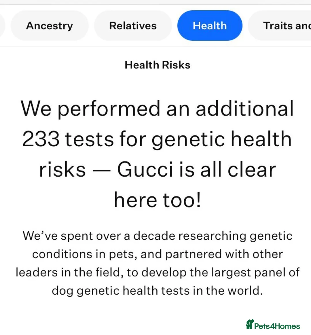 Maltese dogs for stud: 🤎DNA health tested Tiny Korean Maltese boy 🤎 - Advert 10