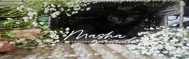 Masha