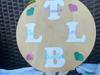 Mini Lion Lop rabbits Mini lion lops bunnies - Advert 2