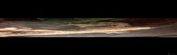 Gecko reptiles for sale: Proven Male Tokay in Normanton - Advert 4
