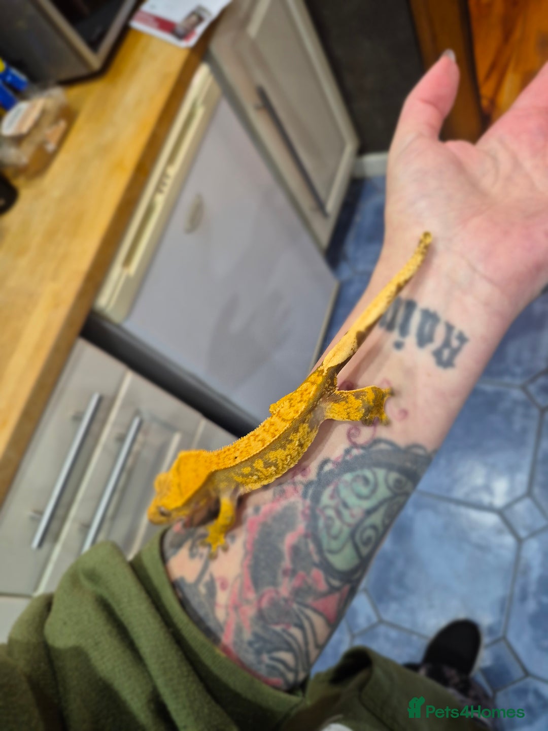 Gallery Image {{count}}