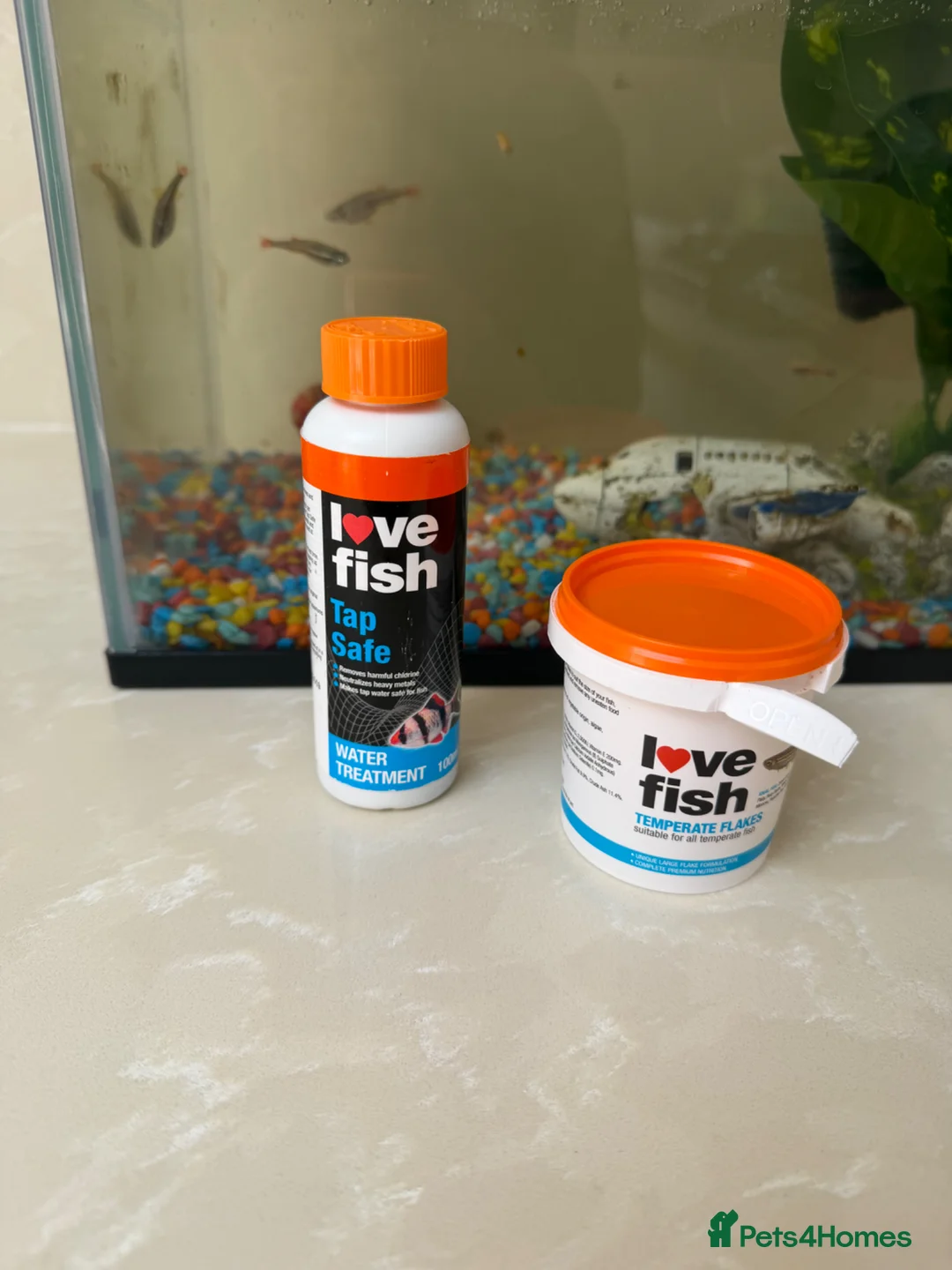 Minnows fish for sale: Fish Tank / accessories / Fish for sale  - Advert 3