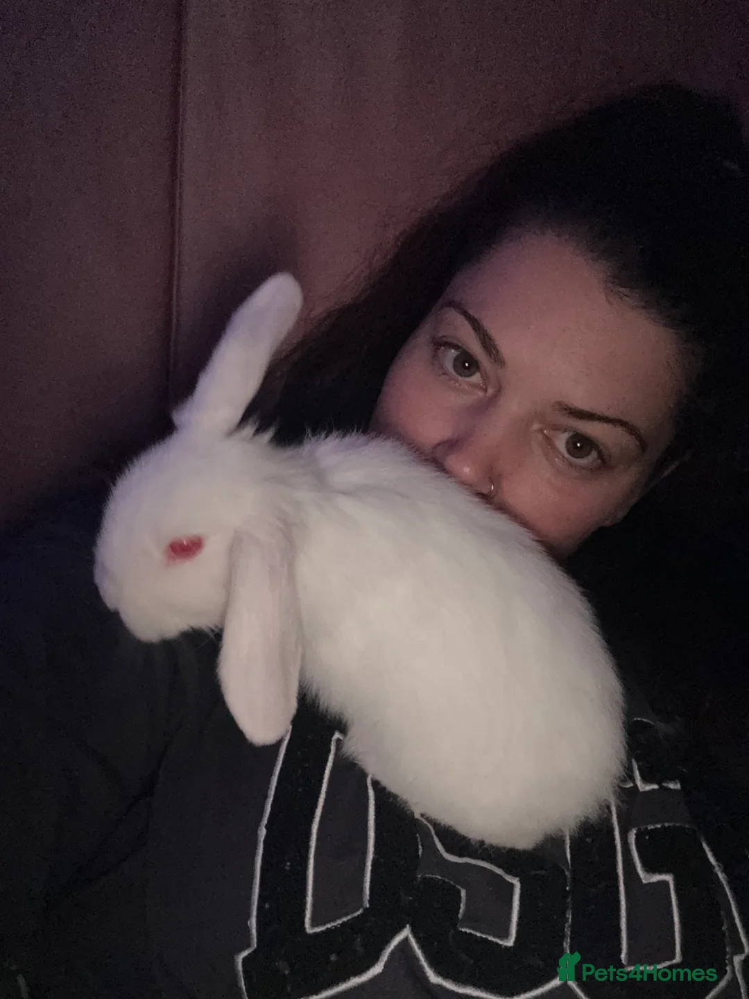 Mixed Breed rabbits for sale: 4 albino rabbits for sale - Advert 6