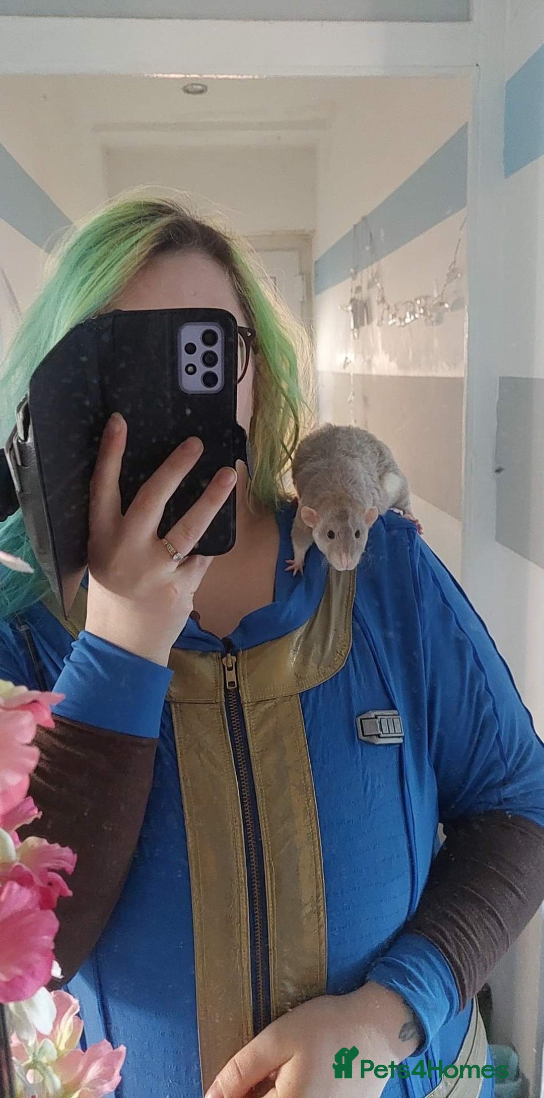 Gallery Image {{count}}