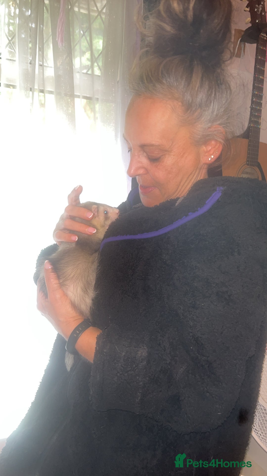 Ferret rodents for sale: Sparky, Male Ferret - Image 10