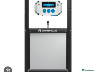 Chickens poultry Hybrid chicks & hatching equipment - Advert 20