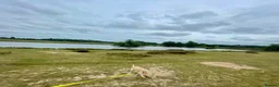 Golden Retriever dogs for sale: KC registered Golden Retriever  - Advert 1