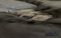 Cane Corso dogs for sale: Cane Corso puppies  - Advert 1