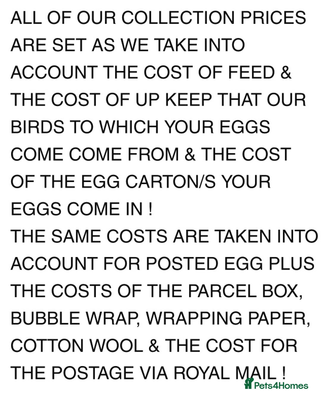 Quail poultry for sale: QUAIL HATCHING EGGS/JULY 28TH ! in Warminster - Image 28