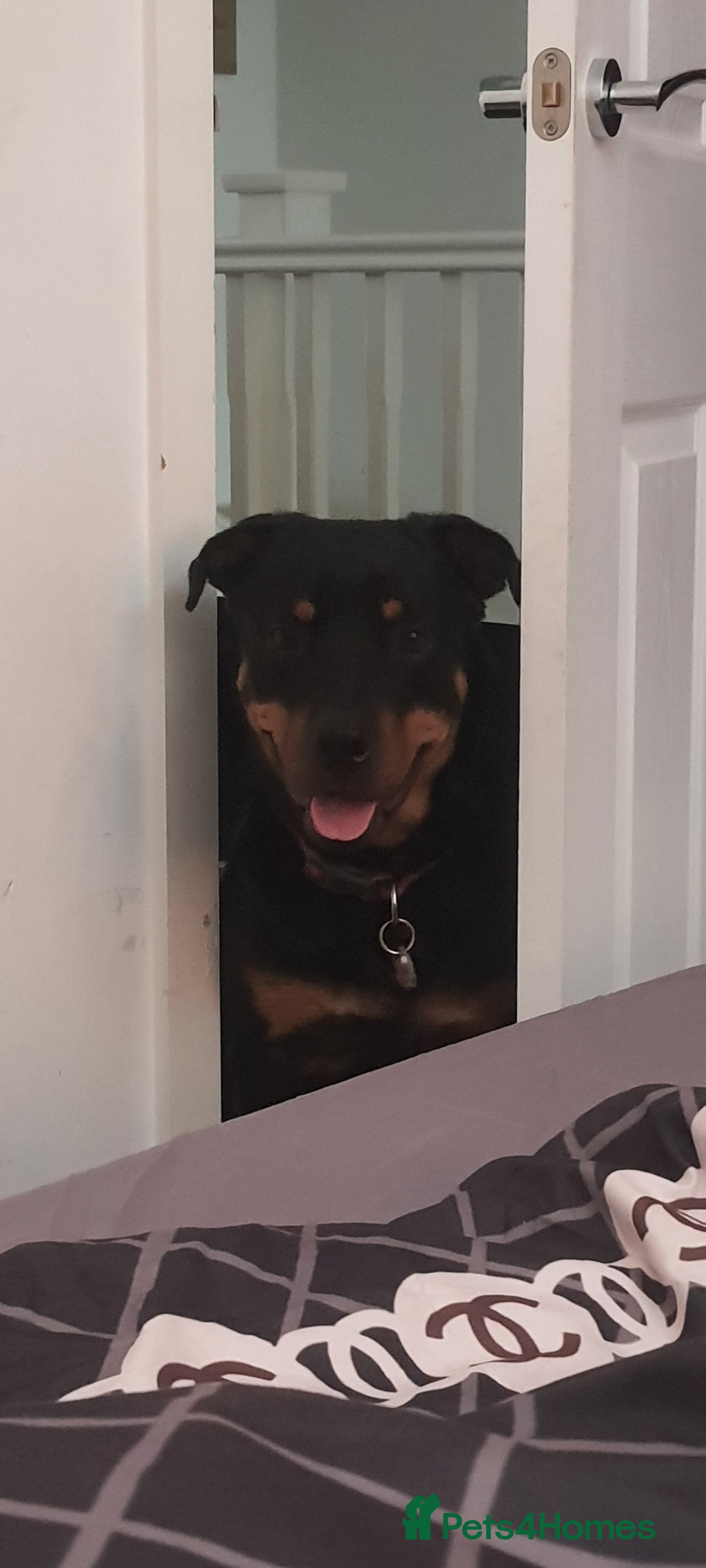 Ruby