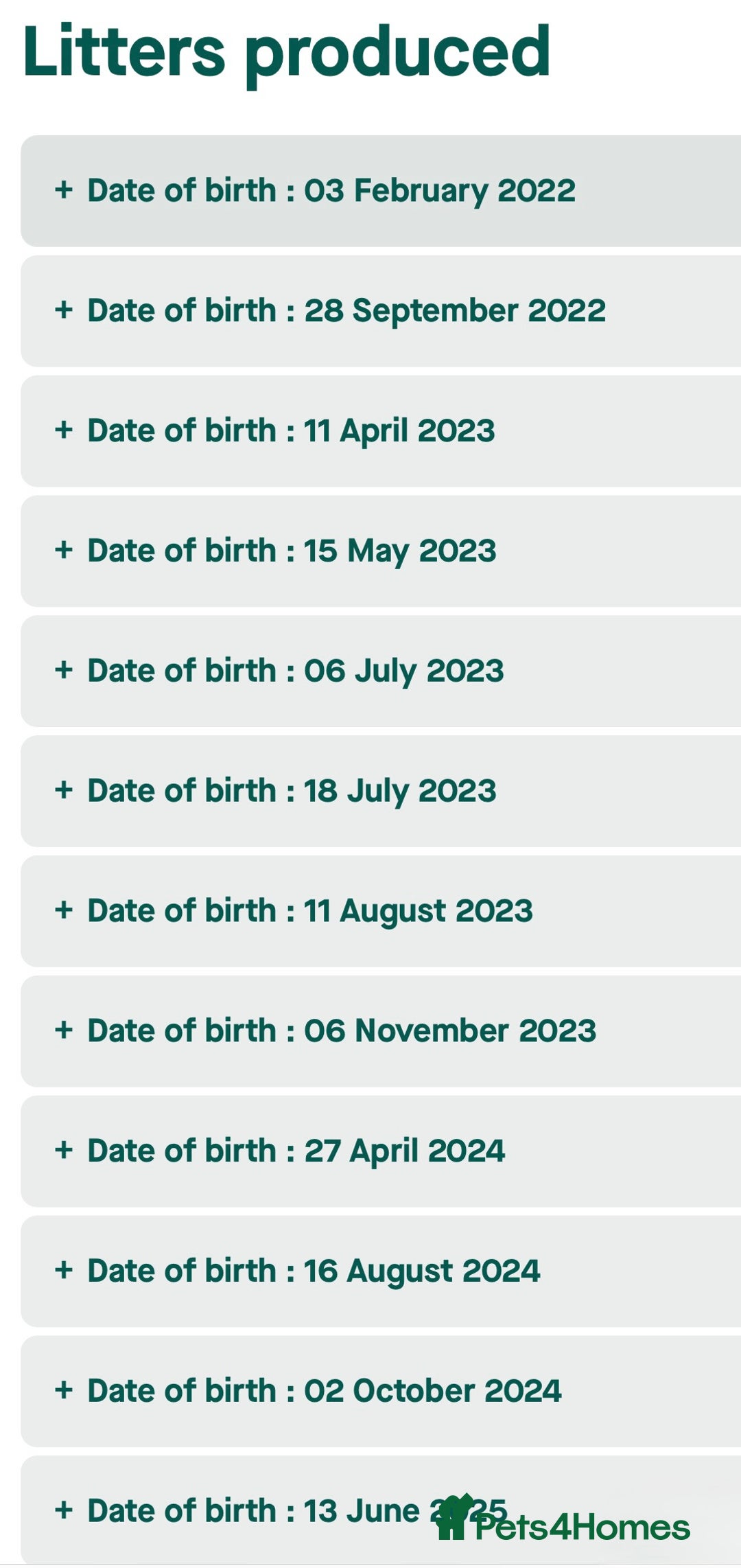 Cocker Spaniel dogs for sale: STUNNING SABLE COCKER BOY  - Advert 4