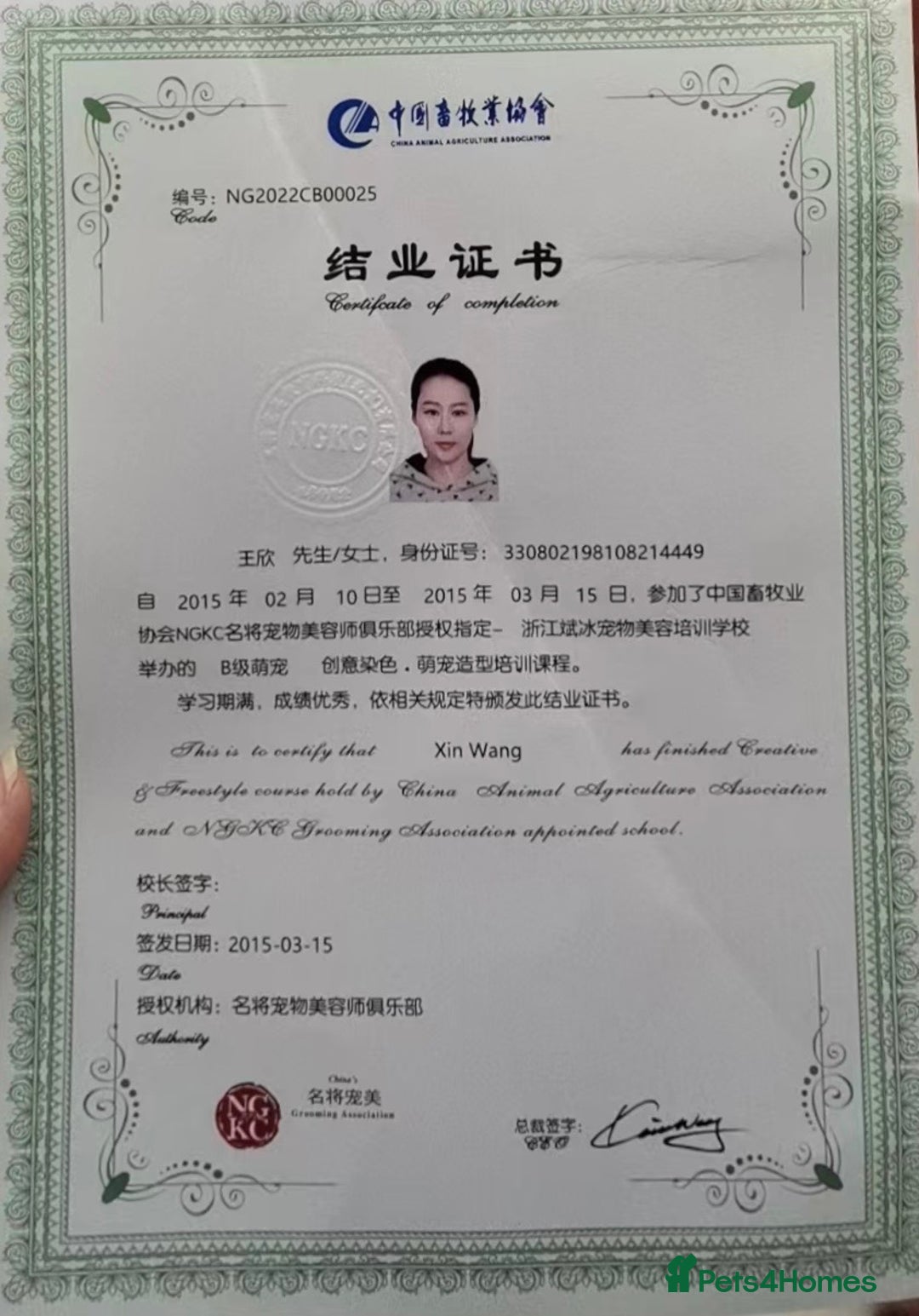 Gallery Image {{count}}