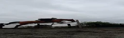 Irish Thoroughbred horses for sale: Thatbeatsbanagher in Leyburn - Advert 5