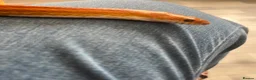 Corn Snake reptiles for sale: Male corn snake and set up for sale  - Advert 5