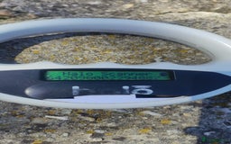 Mixed Breed dogs for adoption: 🌸Sweet and Beautiful AZALEA - Deserving Kindness - Advert 5