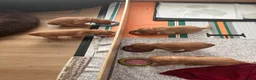 Golden Retriever dogs for sale: Beautiful family raised fox red golden retriever.  - Advert 21