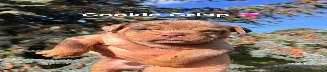Cookie crisp