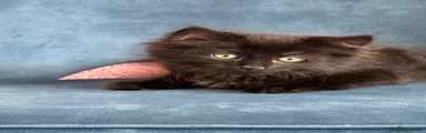 Mixed Breed 1