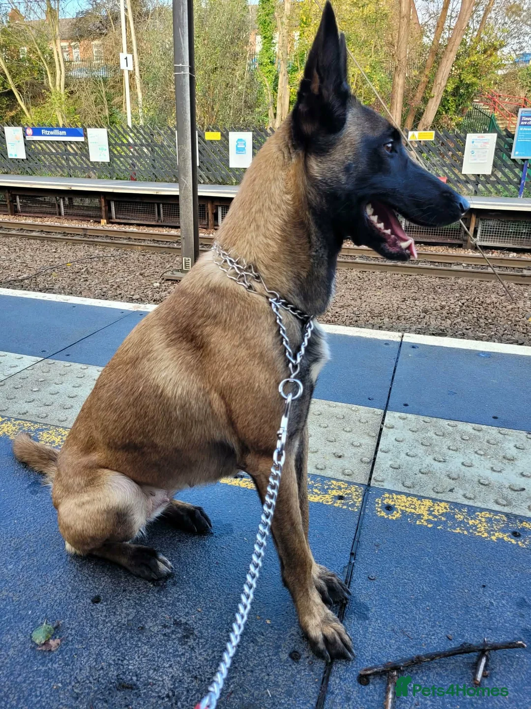 Gallery Image {{count}}