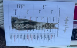 Maine Coon cats for sale:  Tica active registered Beauitful big kittens  in Wednesbury - Image 8