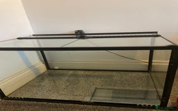 Corn Snake reptiles for sale: Corn Snake&Set Up - Advert 9