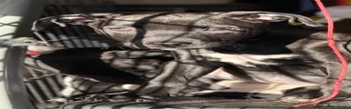 Lurcher 1