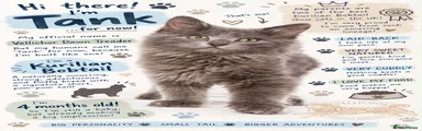 Bobbylicious Dawn Treader