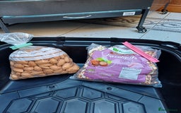 Macaws birds for sale: Blue & Gold Macaw For Sale - Image 19