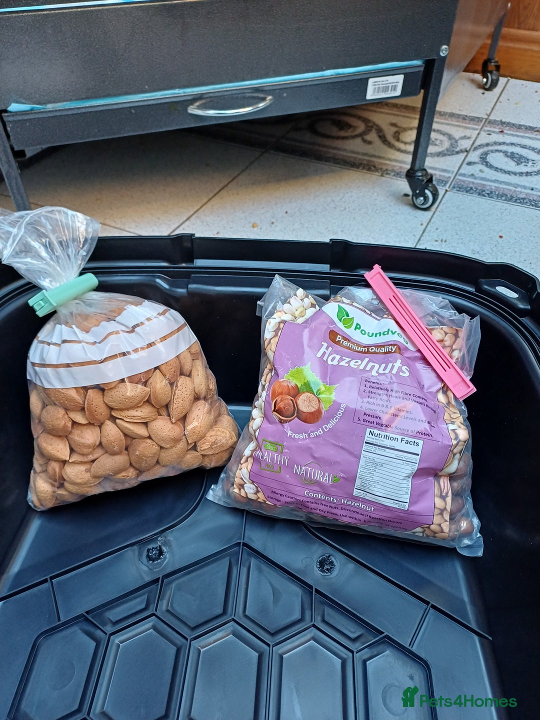 Macaws birds for sale: Blue & Gold Macaw For Sale - Image 19