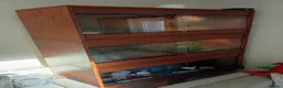 Python Snake reptiles for sale: Royal pythons plus vivariums full set up  - Advert 4