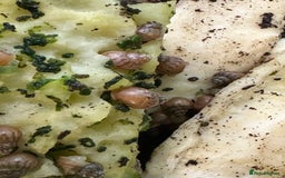 Snails invertebrates for sale: Baby Giant African Land Snails - Advert 1