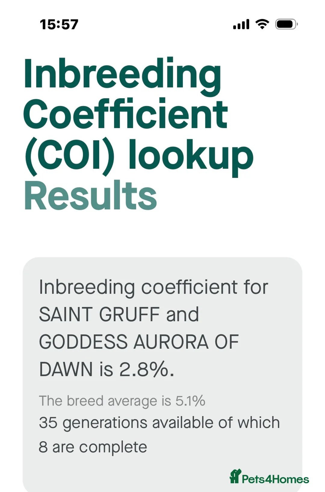 Cavalier King Charles Spaniel dogs for sale: Cavalier King Charles Due soon - Advert 2