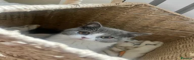 Female 2 
