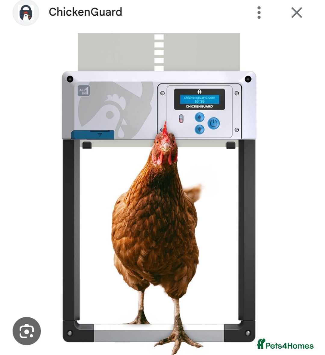Chickens poultry for sale: Incubators, candlers, brooder, auto doors - Advert 11