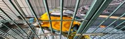 Macaws birds for sale: Missy the Macaw in Bristol - Advert 8