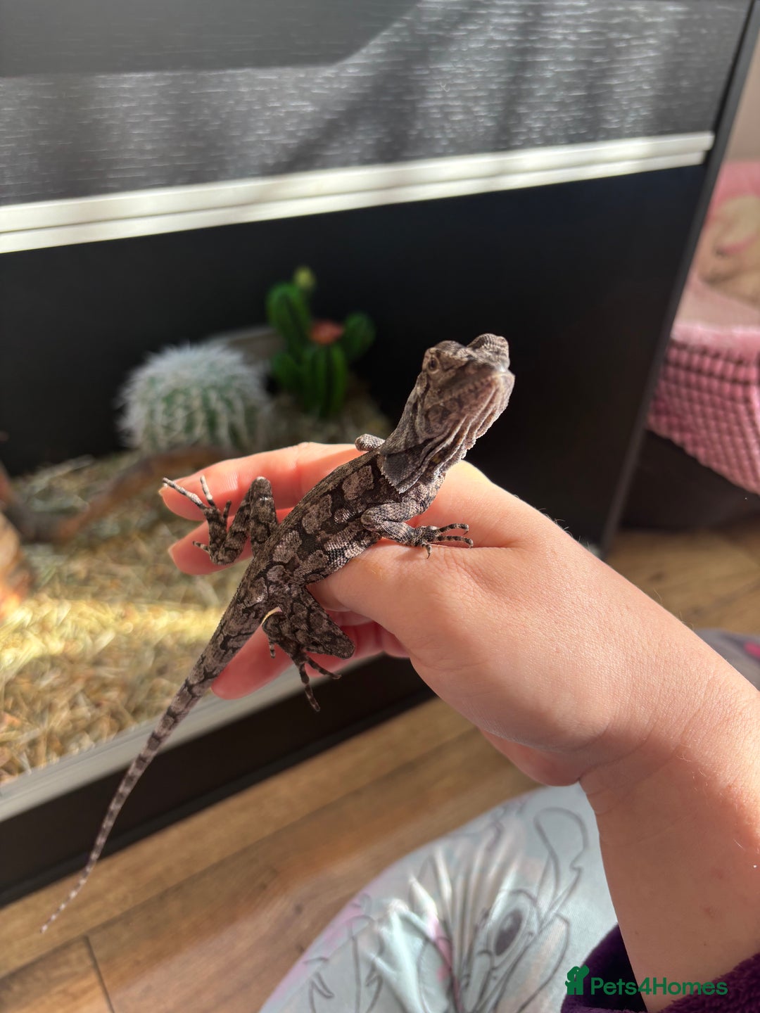 Gallery Image {{count}}