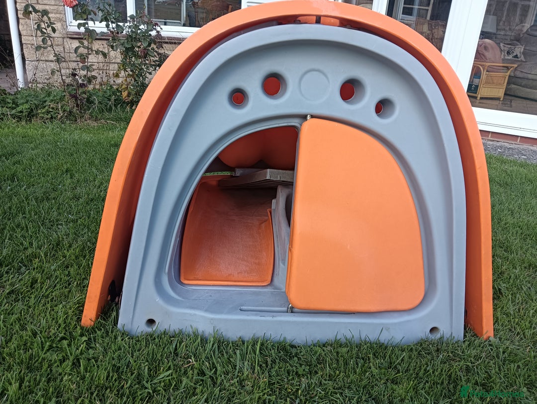 Chickens poultry for sale: Orange Omlet Chicken Coop - Image 1