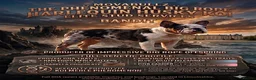French Bulldog dogs for stud:  **  panda harlequin husky koi  - Advert 1