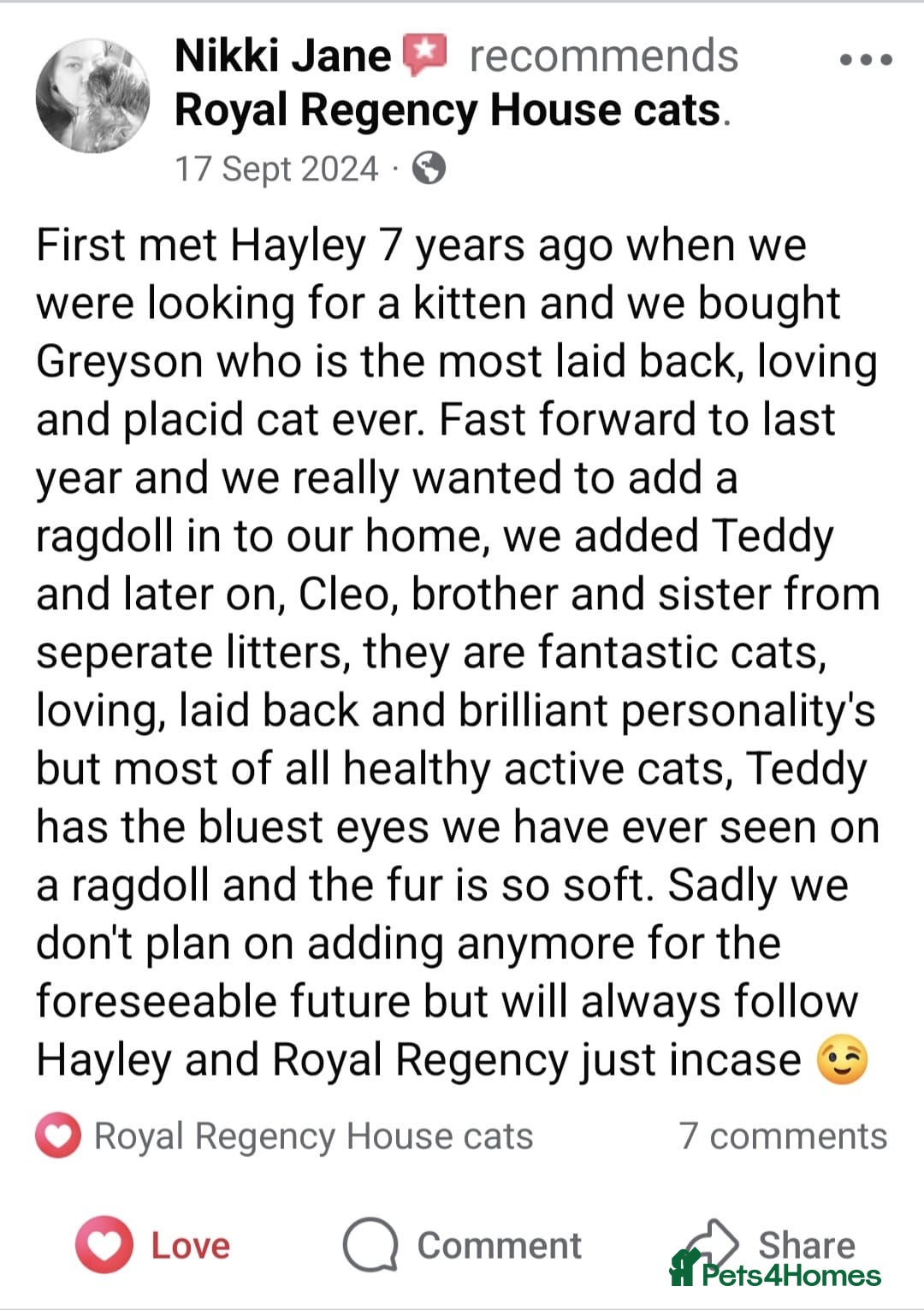 Ragdoll cats for sale: Beautiful purebreed Ragdoll kittens - Advert 9